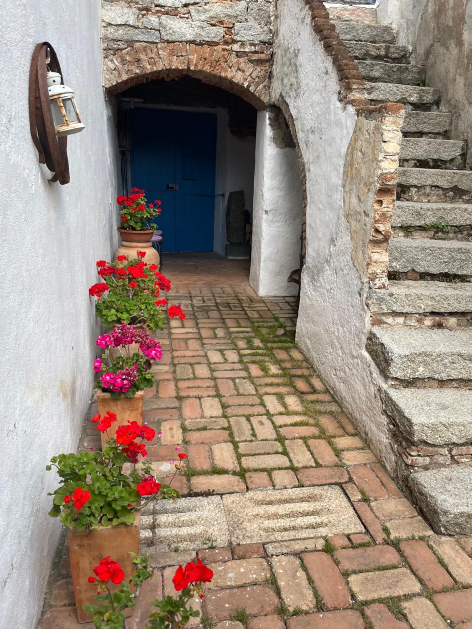 אוליאנה B&B Corte San Lussorio מראה חיצוני תמונה