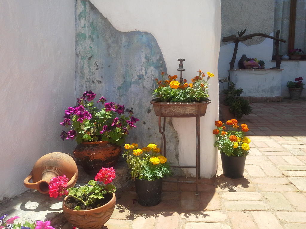 אוליאנה B&B Corte San Lussorio מראה חיצוני תמונה