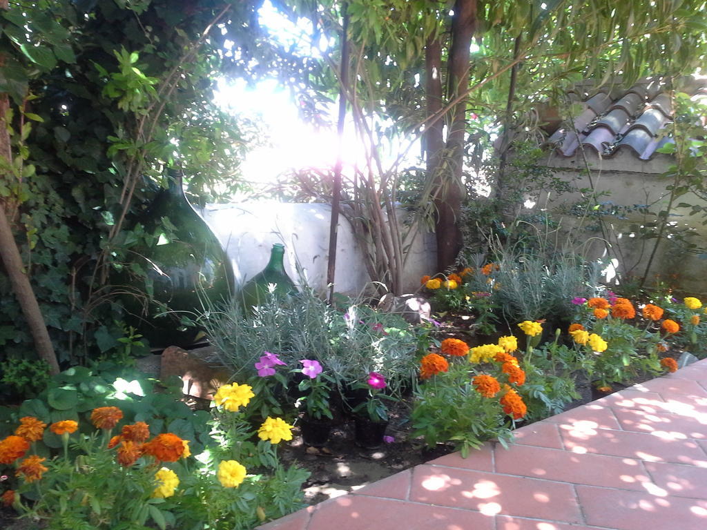 אוליאנה B&B Corte San Lussorio מראה חיצוני תמונה